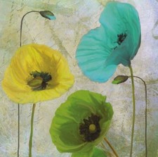Set of 40 Spring Floral Cocktail Napkins w Colorful Poppies