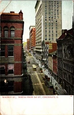 Cincinnati, OH Walnut St. N from 3rd St. Seed Store 1900s Antique Postcard D547