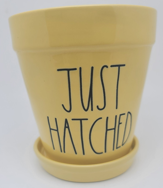 Rae Dunn Just Hatched Planter Pot! *Free Shipping*