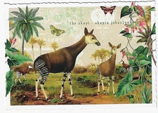 Postcard Glitter Tausendschoen Rainforest Okapi Postcrossing