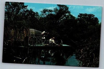 Postcard 1950s Airboat Everglades Florida Swampland Scene