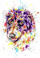 Long Haired Lurcher Art Print Painting Picture Gifts,  - Size Mounting Options