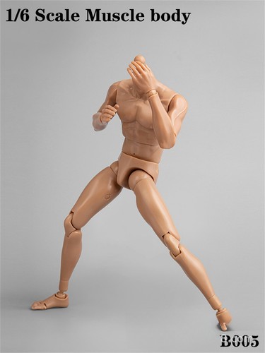 B005 Muscular Body 1/6 Plus Flexible Man Action Figure Doll - Picture 7 of 11