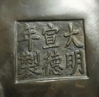 Foto 8 di 8
