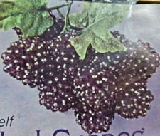 Walco BEADED PURPLE GRAPES Fruit Sequin Bead Vtg Christmas Ornament Kit BOXED