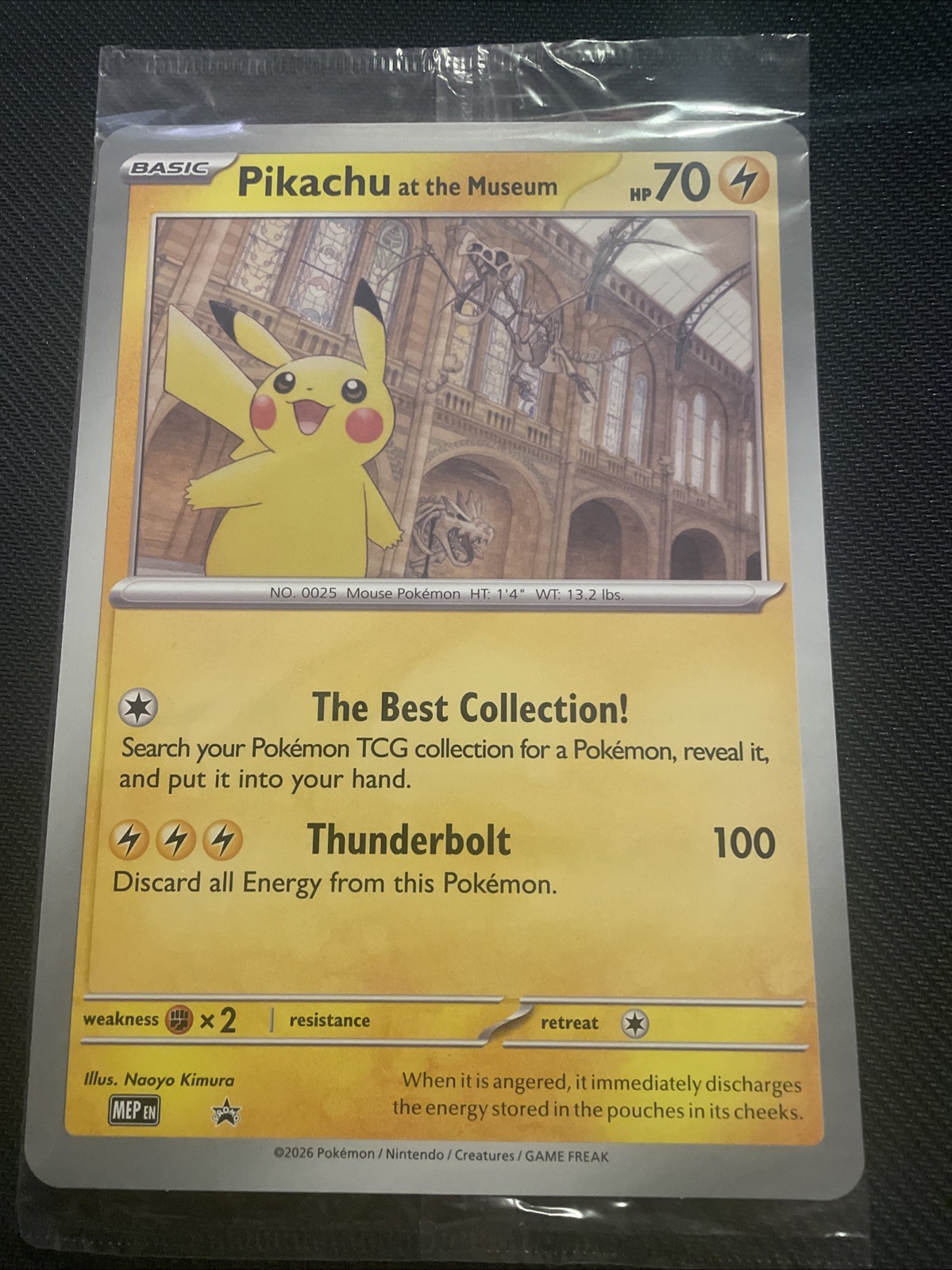 Pikachu At The Museum Sealed Oversized Promo Pokemon Card