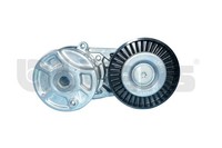 Riemenspanner Keilrippenriemen Litens 950605 FüR Ford Transit V363 FED FFD FCD
