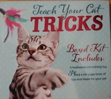 Teach Your Cat Tricks Learn 12 Training Tricks Step By Step Guidance, Ez Steps