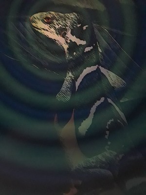 Digital Imaging Green & Blue Psychedelic Chromatic LIZARD Black Board 16 x 20