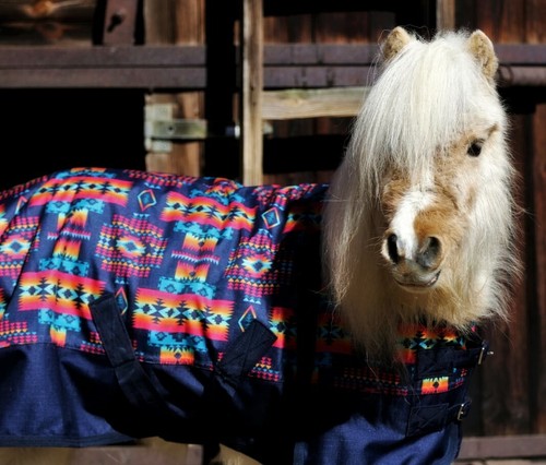 Regendecke 1200 D 75 85 95 100 Minishetty Mini Shetty Falabella Outdoordecke TY - Bild 11 von 12