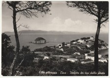 CAVO - ISOLA D'ELBA - LIVORNO - ISOLOTTO DEI TOPI DALLA PINETA -2626-