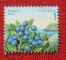 Canada 1 cent 1992   MNH stamp  # 1349 Edible Berries - Blueberry