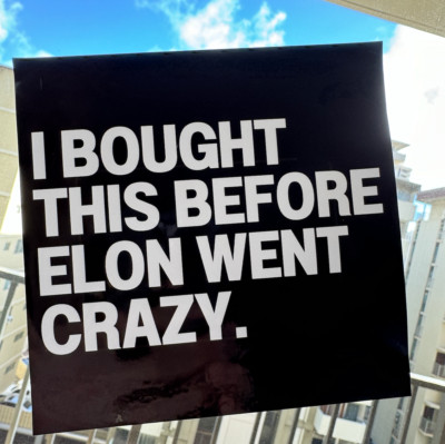 Adesivo Anti-Elon Musk Per Auto - "I Bought This Before Elon Went Crazy" | Nero Opaco 12x6cm