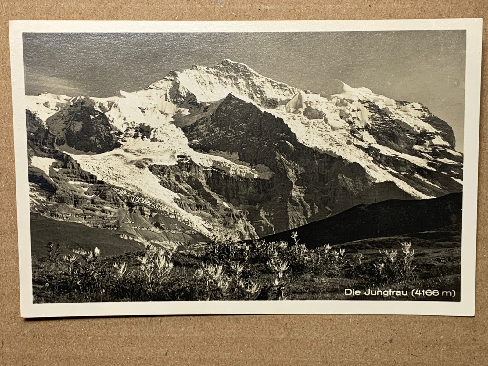 Picture 2 of 3
