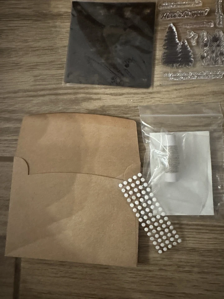 Stampin' Up! Paper Pumpkin March 2021 “Here’s To You” - Image 2 of 4