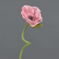 Artplants Kunstblume Mohnblume Ankang, Rosa, 70 Cm