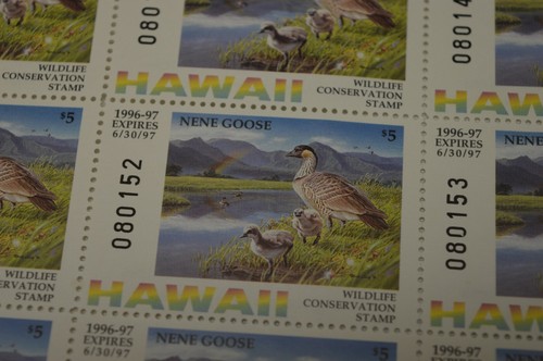HAWAII 1996 H11 SELLO DE CONSERVACIÓN DE VIDA SILVESTRE NENE GOOSE HOJA COMPLETA UN ERROR ESTAMA - Imagen 9 de 9