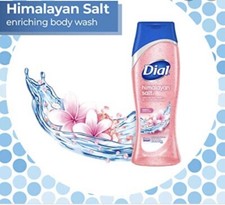 Dial Skin Therapy Body Wash With Himalayan Pink Salt & Water Lily, 16 oz, 1 Pack 0.79 per gallon