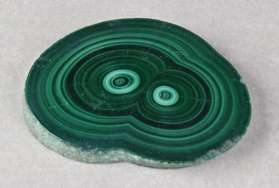 Malachite Stalactite Slice from Congo 5.0 cm   # 20254