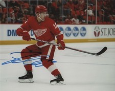 Detroit Red Wings Filip Zadina Autographed Signed 8x10 NHL Photo COA #12
