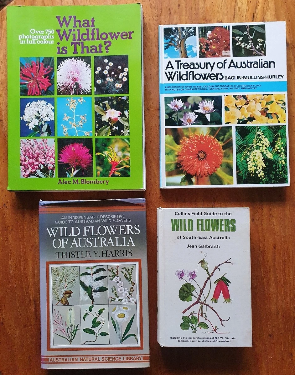 Australian Wildflower Identification App Best Flower Site
