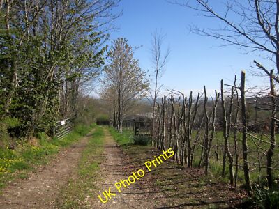 Foto 12x8 Gleis, Lower Crockett Farm Downgate\/SX3672 A von Bäumen gesäumt privat c2015
