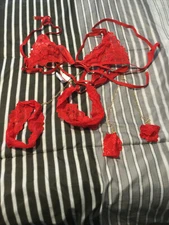 Red Floral Lace Harness Lingerie Set With Wristband Free SHIPPING to USA