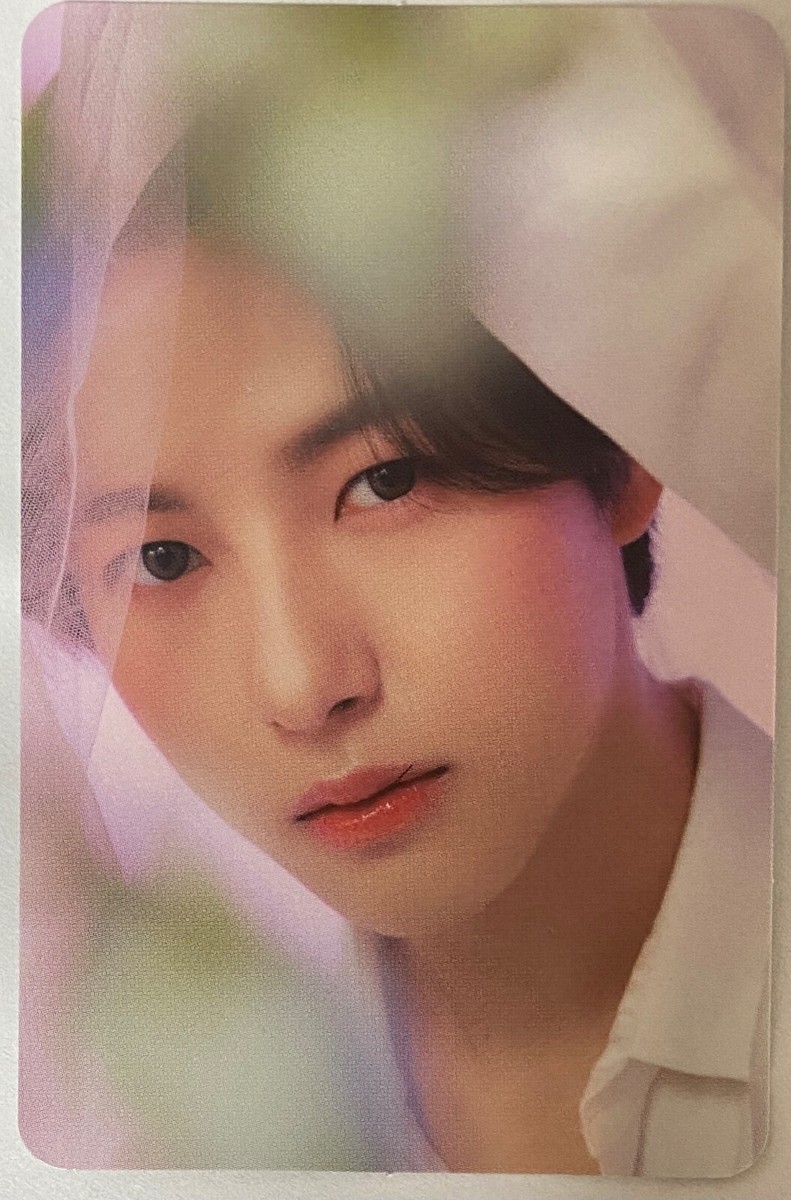 CANDYLAB x NCT Dream ] 100% Official Limited PHOTOCARD +
