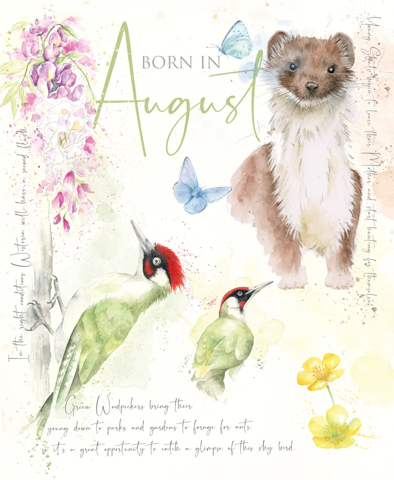 Born In August Open Birthday Card - Foil - Premium Quality - Cherry Orchard