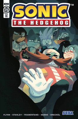 Sonic The Hedgehog IDW Comic #26 RI 1:10 Fourdaine Variant