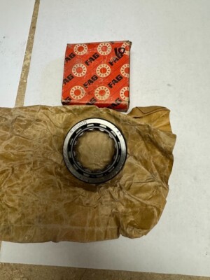 FAG Cylindrical Roller Bearing Single Row