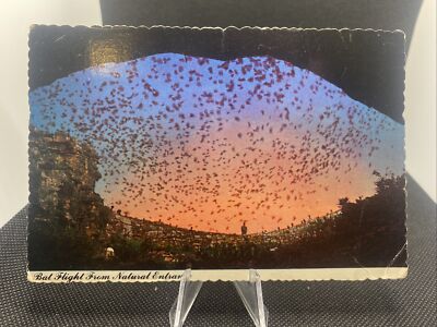 Postcard Bat Flight from Natural Entrance, Carlsbad Caverns National Park, NM A3