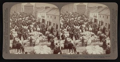 Ireland Market-place of Athlone-(e.) monthly sheep fair of adjoin - Old Photo