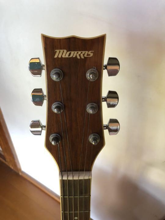 Acoustic Guitar Morris MG-301 TS Tobacco Sunburst | eBay