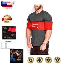 Mark Bell Resistance Band Level 3 Bench Press Dips Pushups Strength Training