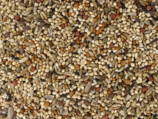 Higgins Vita Seed Finch seed mix finch diet 25lb