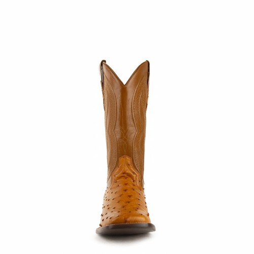 Men's Ferrini Colt Full Quill Ostrich Boots Handcrafted Cognac - Picture 3 of 6
