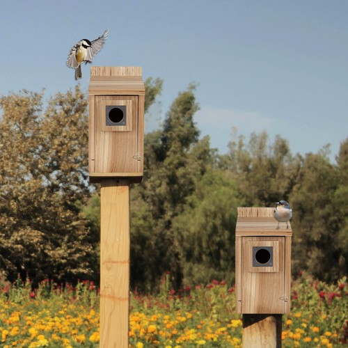 Wood Bird Houses with Stainless Steel Guard Hummingbird House for Outside Cle... - Picture 5 of 7