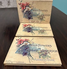 Past Editions 1997 Gift box Journal & Address books Wildflowers of North America