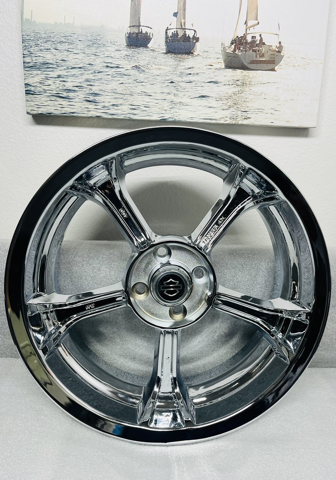 Picture 6 of 16