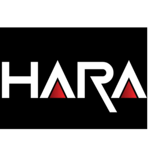HARAさん専用 ショウエイヘルメットのZ-8 シャア専用ザク IIが少量入荷しました : 2