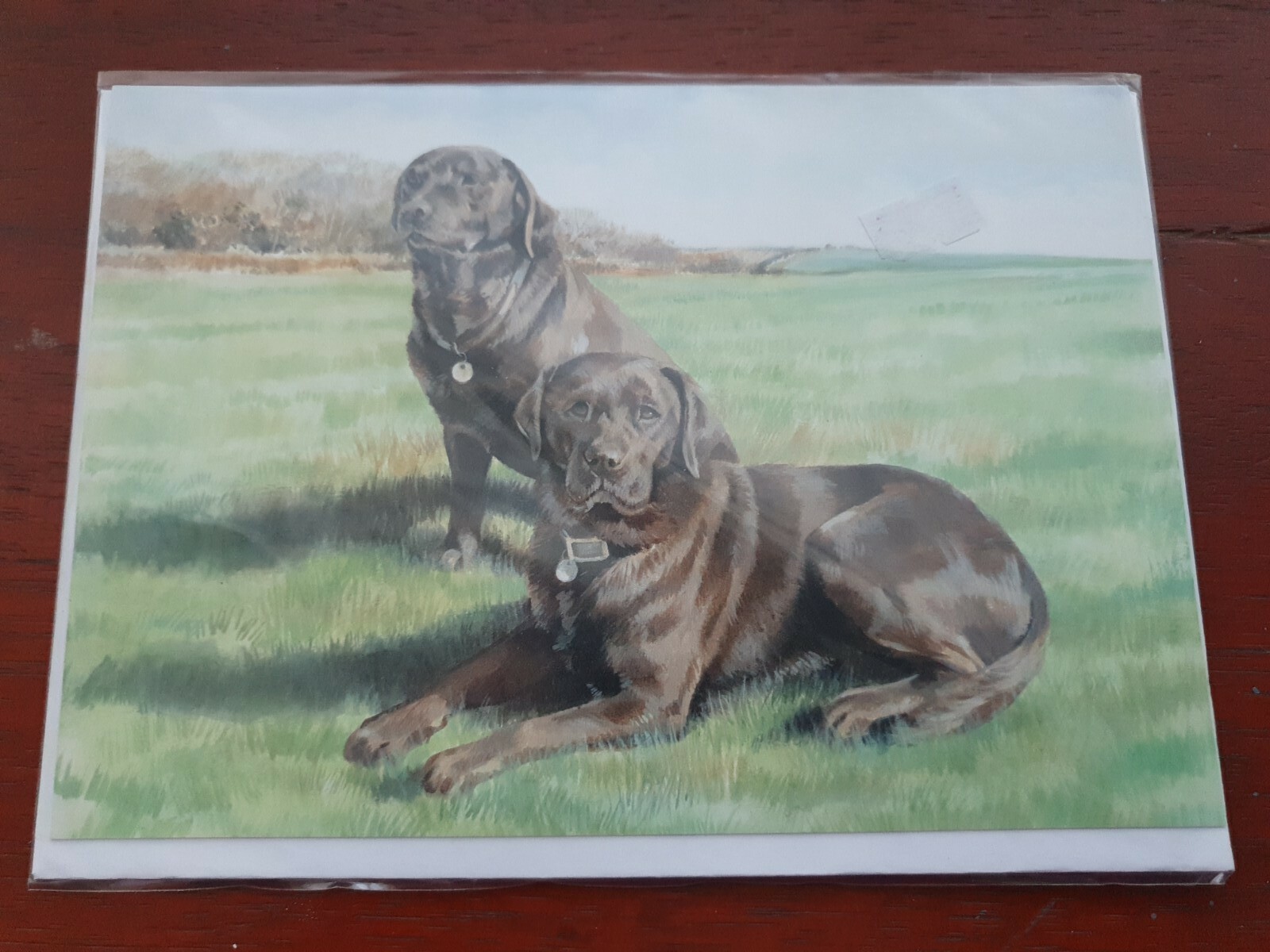 Chocolate Labradors greetings card Chocolate Labrador birthday card dogs dog pup