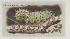 2020 Topps Allen & Ginter's Buggin' Out! Minis Calleta Silkmoth #MBO-8 9r7