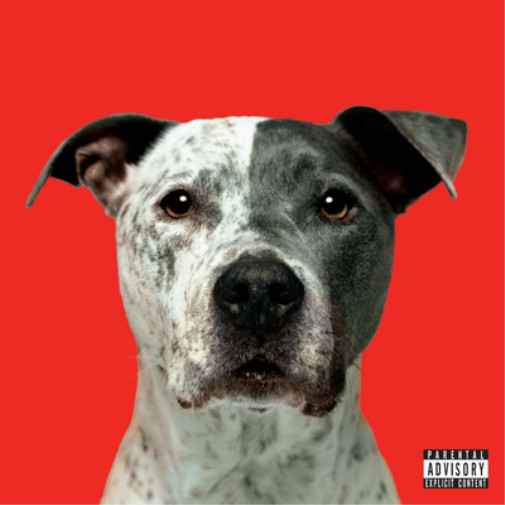 Альбом Hanni El Khatib Flight (винил) 12 (ИМПОРТИРОВАН из Великобритании)