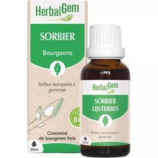 Herbalgem Macerat Mère Sorbier Bio 30 ml