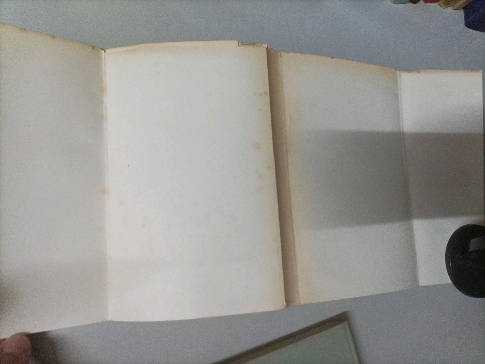 Foto 10 di 24