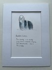 New ListingBearded Collie Dog Picture Mounted Pet Art Funny 8x6 Ins