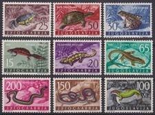 F-EX61641 YUGOSLAVIA MNH 1962 PTT FAUNA FROG TURTLE SNIKE ANPHIBIAN & REPTILS.