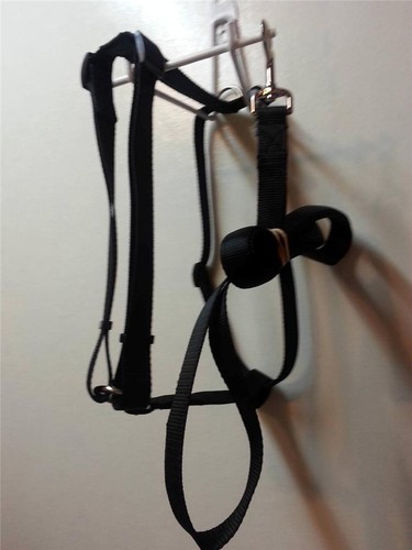 Carter Pet Supply Dog Harness Heavy Duty Hand Made Adjustable Matching 6' Leash - 第 1/1 張圖片