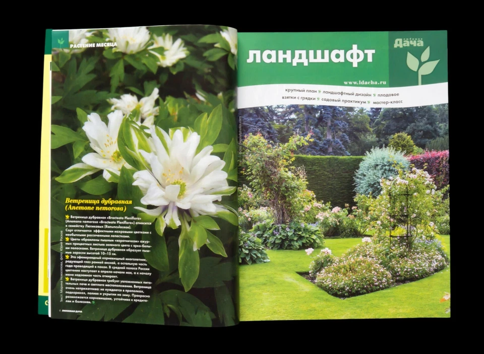 "Country house". 3/2019. Architecture, Design, Landscape, Interior. In Russian. - Image 2 of 4